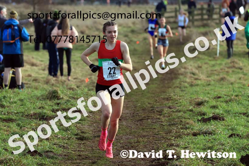 Junior Womens 2024 Northern Cross Country Champs., Sedgefield. Photo: David T. Hewitson/Sports for All Pics